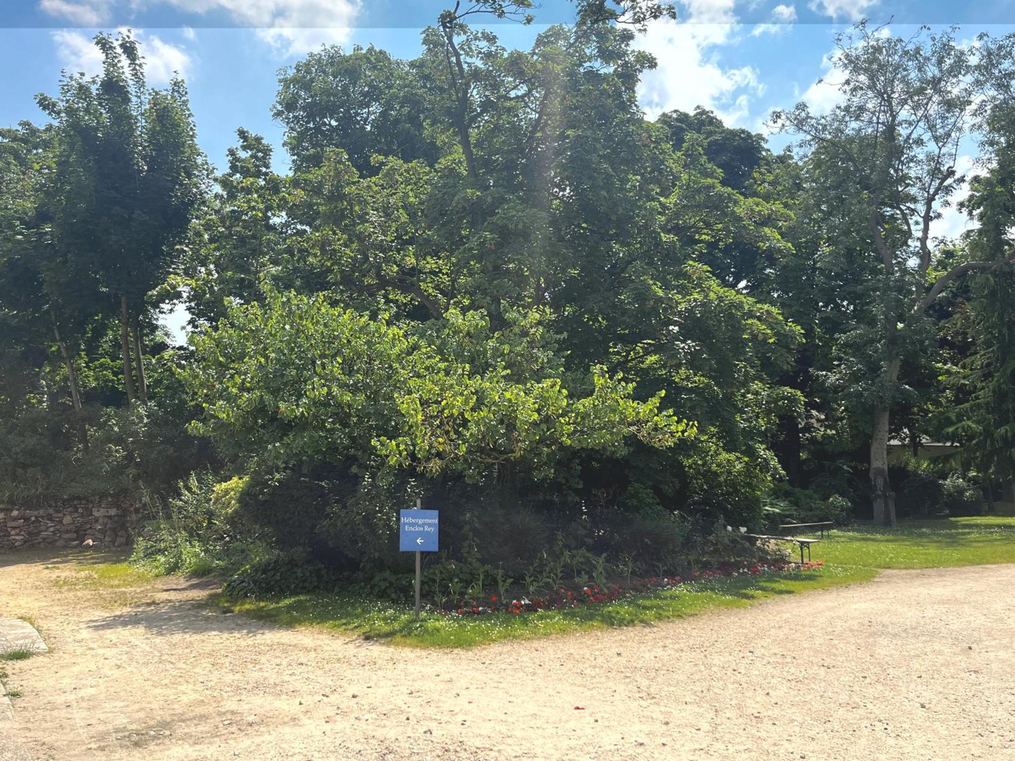 Hotel Hotellerie L'enclos Rey *